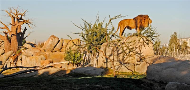 Valencia Bio Parc